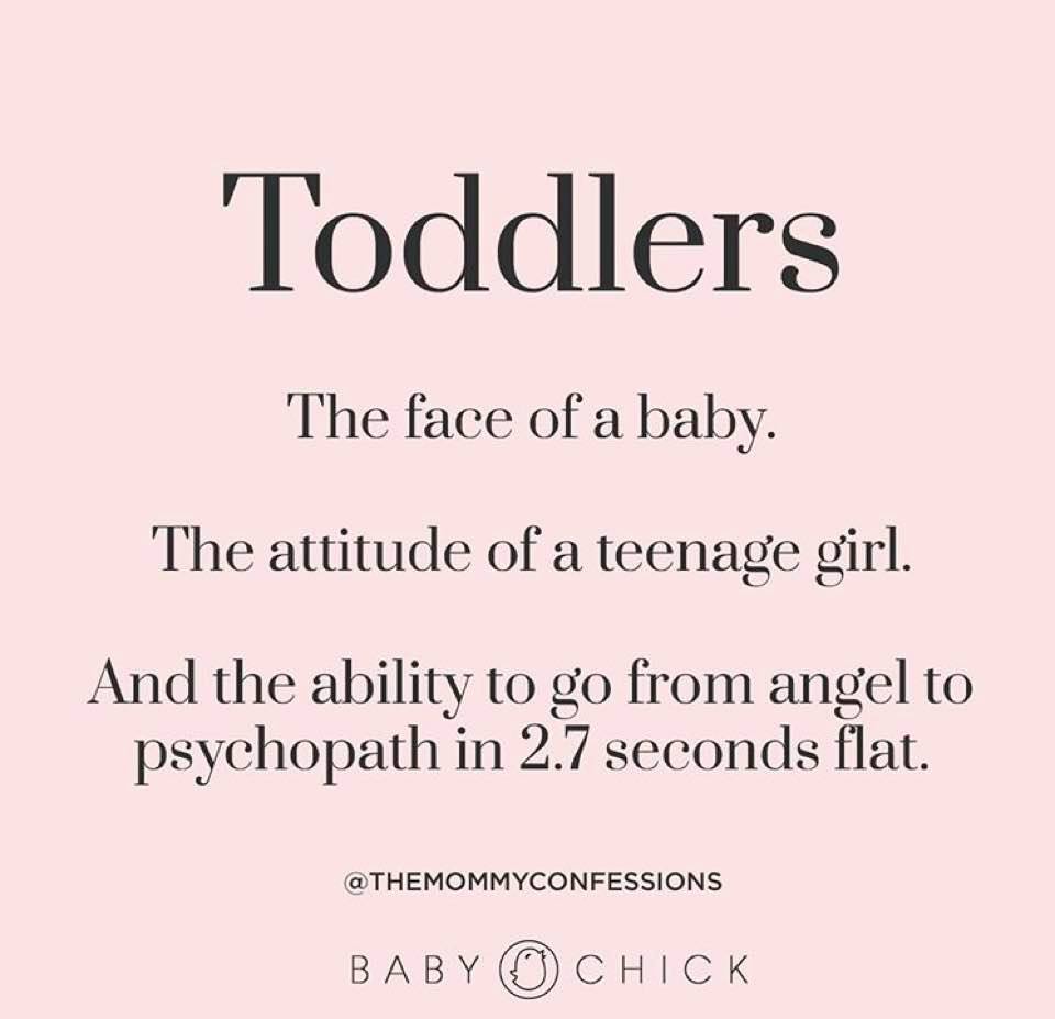 toddlers.jpg