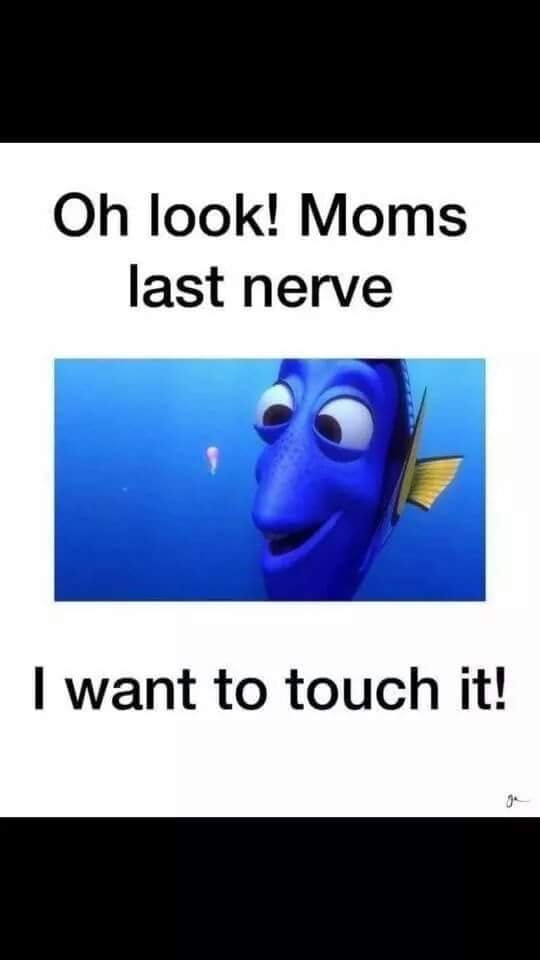 moms_last_nerve.jpg