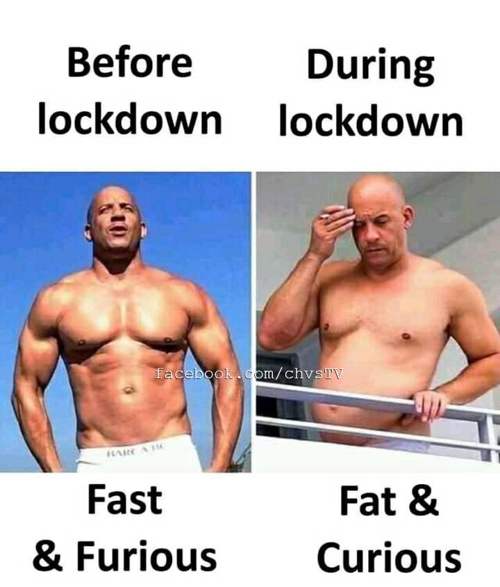 fast_and_furious_vs_fat_and_curious.jpg