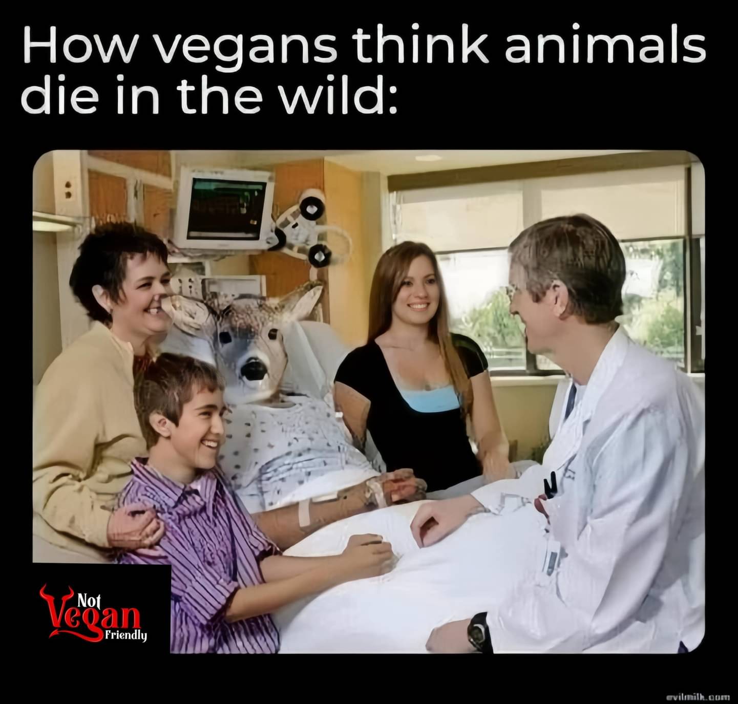 how_vegans_think_animals_die_in_the_wild.jpg