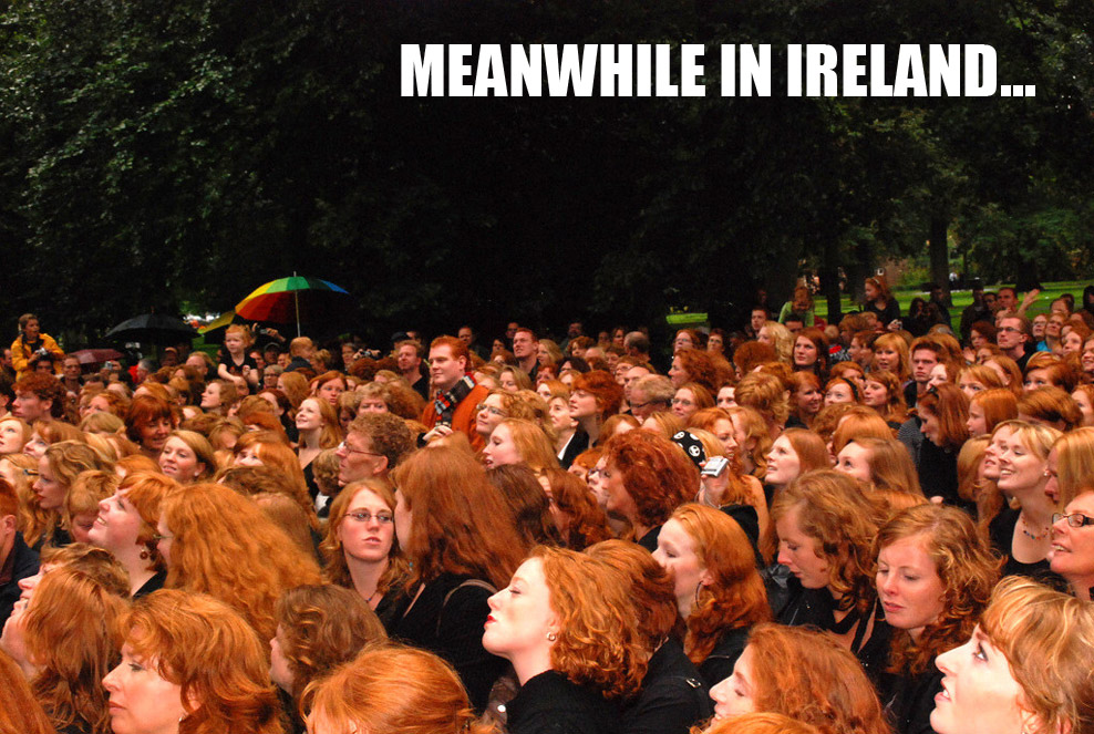 meanwhile_in_ireland.jpg
