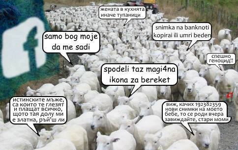 ovci.jpg