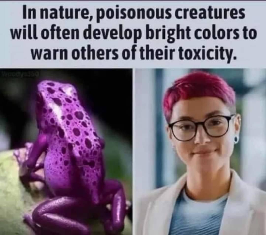 poisonous_creatures.jpg