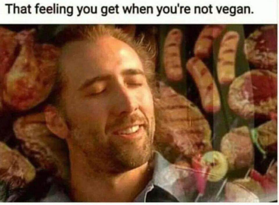 that_not-vegan_feeling.jpg
