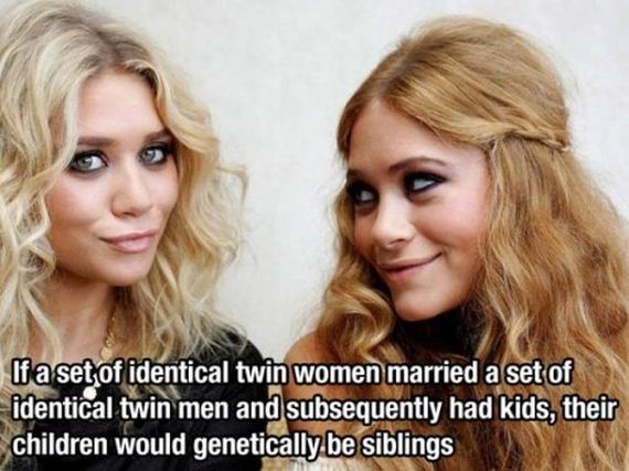 what_if_identical_twins_marry_identical_twins.jpg