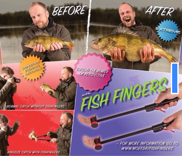fish_finger.jpg