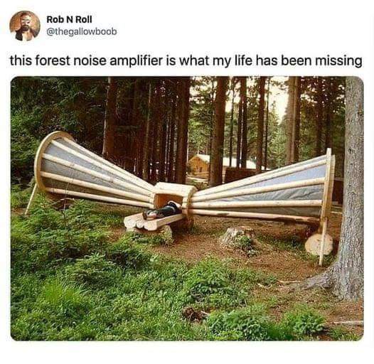 forest_noise_amplifier.jpg