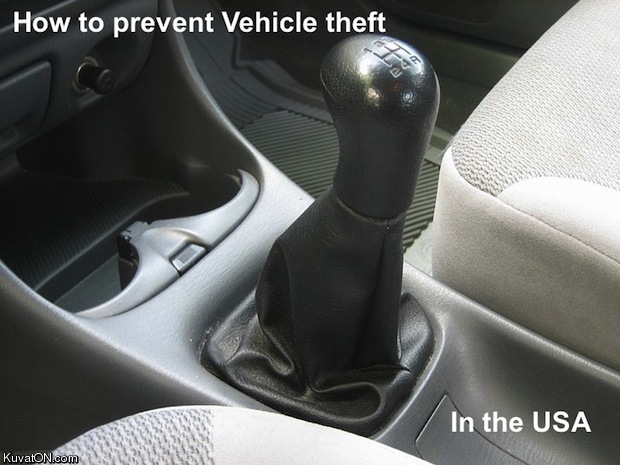 preventing_theft_in_usa.jpg