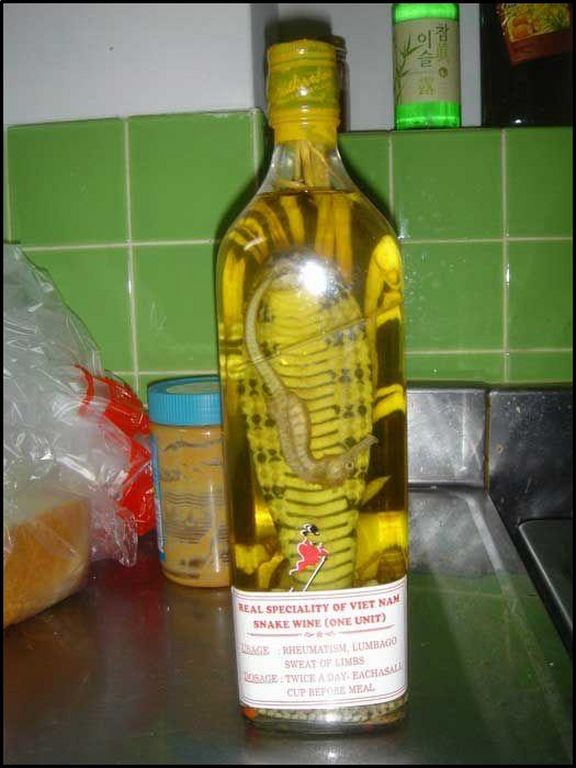 snake_wine-vietnam_speciality.jpg