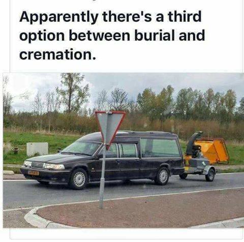 the_third_option_between_burial_and_cremation.jpg
