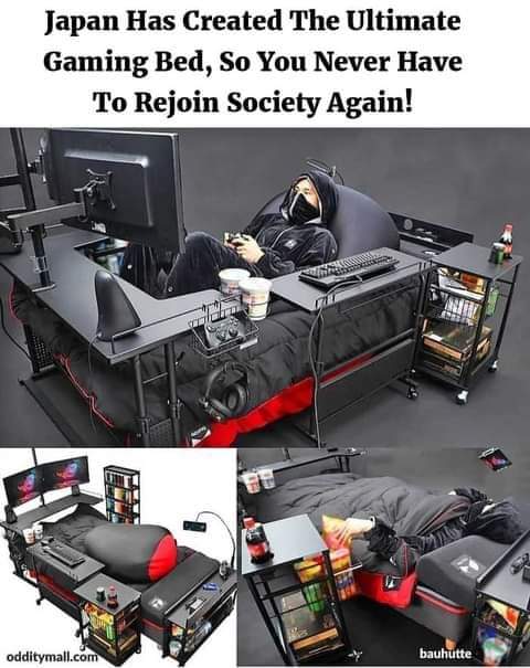 the_ultimate_gaming_bed.jpg