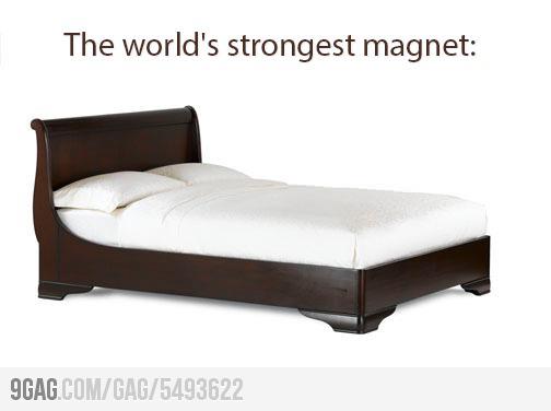 the_worlds_strongest_magnet.jpg