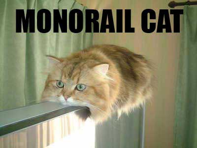 MonorailCat2.jpg