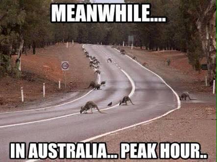 australia_peak_hour.jpg