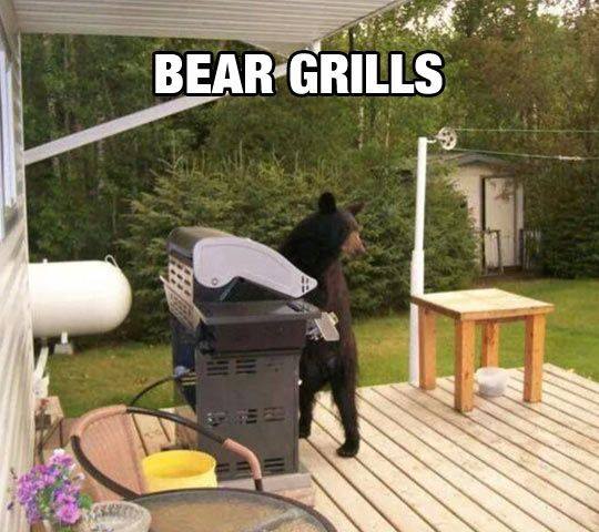 bear-grills.jpg