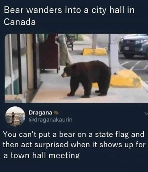 bear_on_a_flag.jpg
