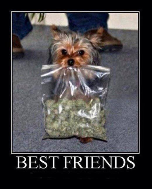 best_friends.jpg