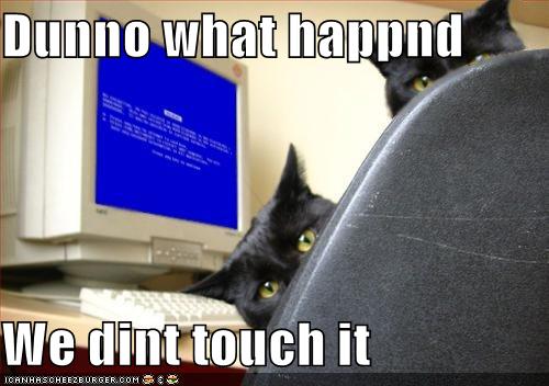 cats-computer-blue-screen-death.jpg