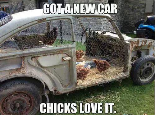 chicks_in_a_new_car.jpg