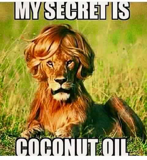coconut_oil.jpg
