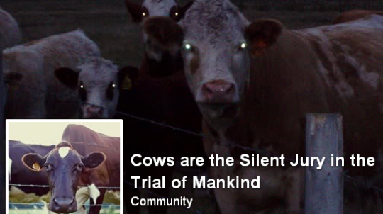 cows_are_the_silent_jury.png