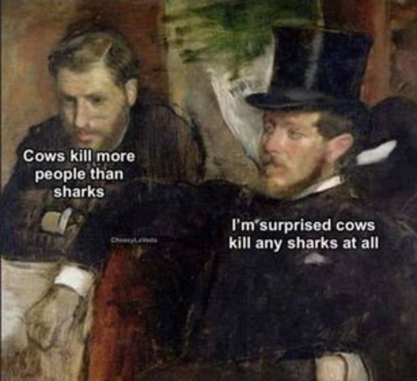 cows_kill_more_people_than_sharks.jpg