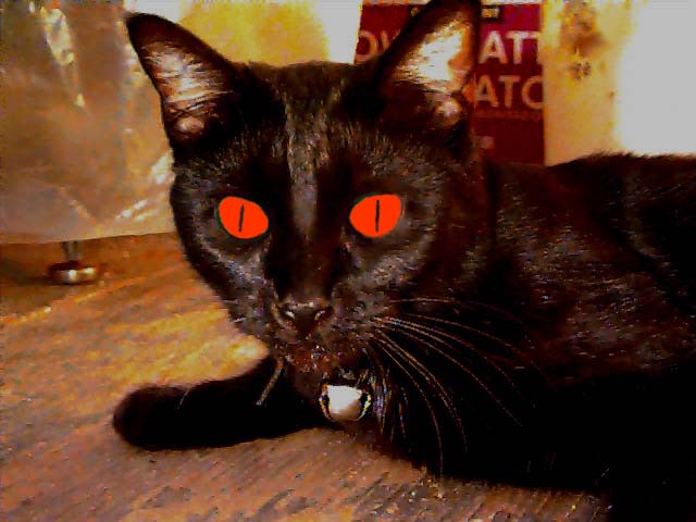 demon-cat.jpg
