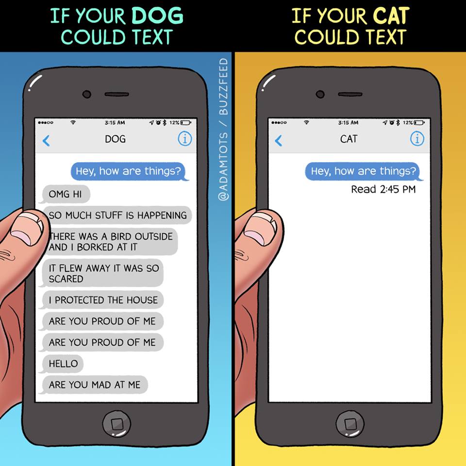 dog_vs_cat_texting.jpg
