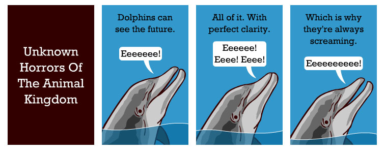 dolphins_can_see_the_future.jpg