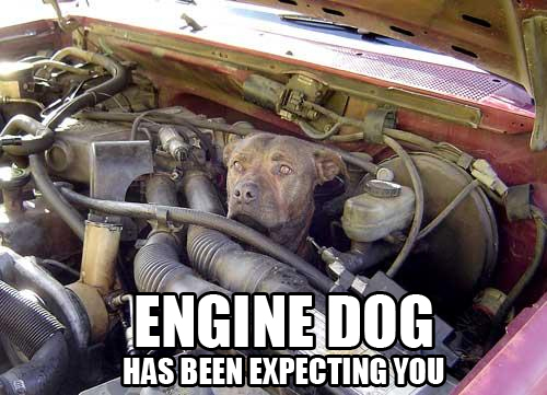 engine_dog.jpg