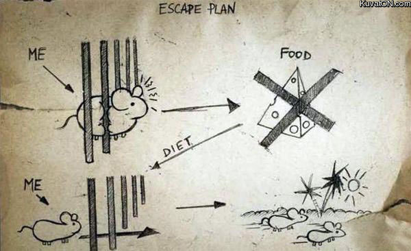 escape_plan.jpg