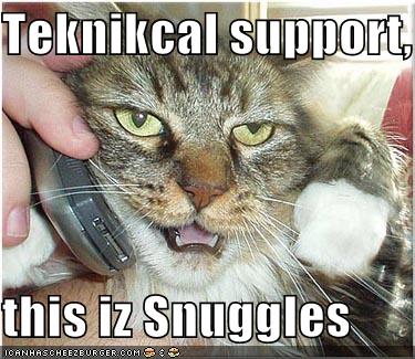 funny-pictures-technical-support-cat.jpg