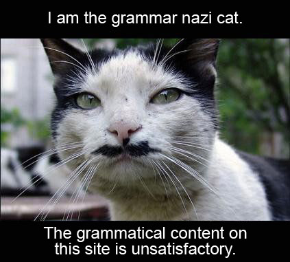 grammar_nazi_cat.jpg