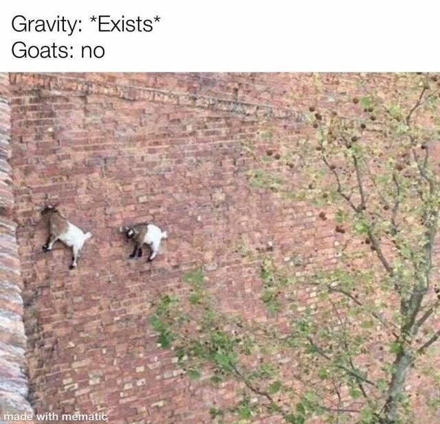 gravity_exists.jpg