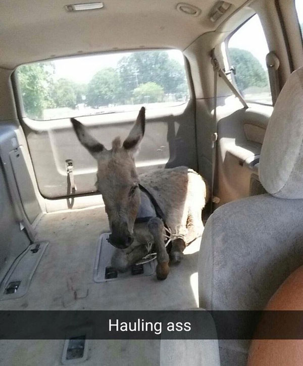 hauling_ass.jpg