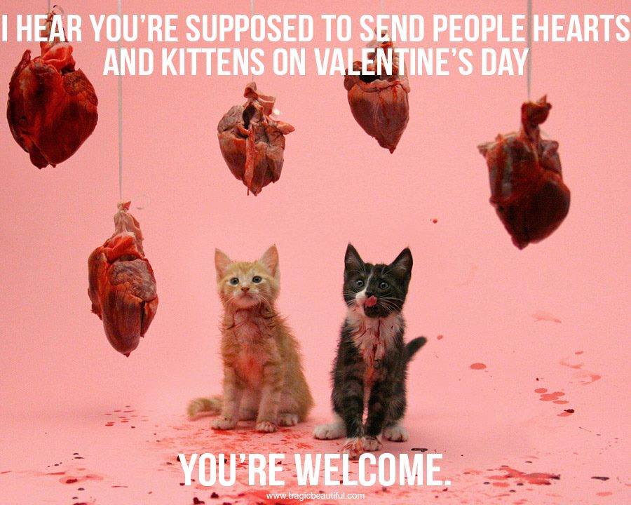 hearts_and_kittens_valentine.jpg
