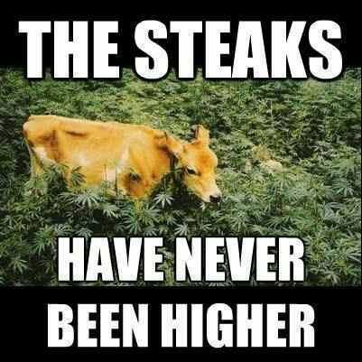 high_steaks.jpg