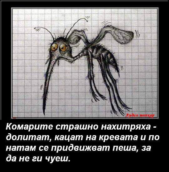 hitrite_komari.jpg