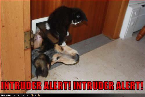 intruder_alert.jpg