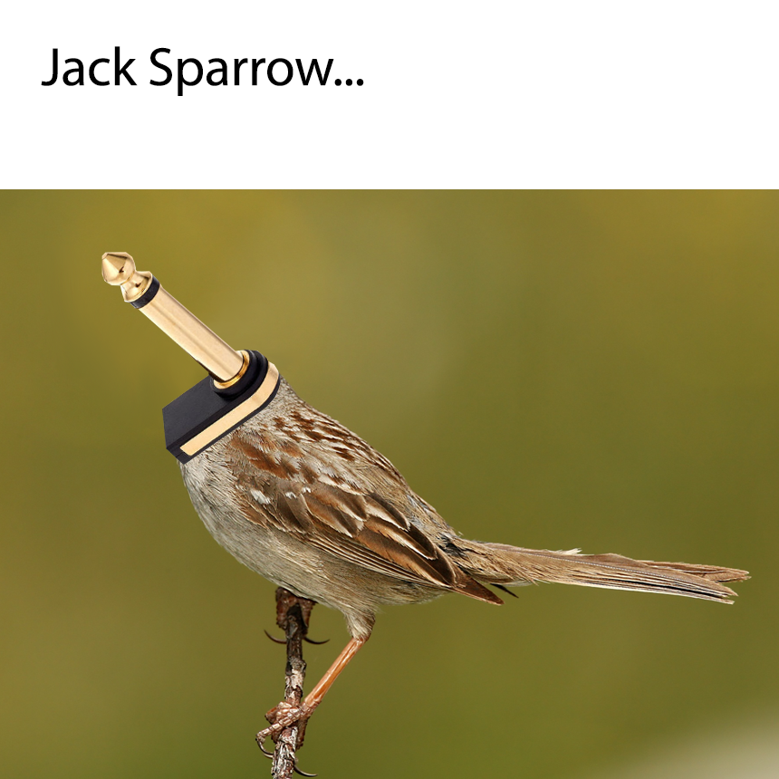 jack_sparrow.png