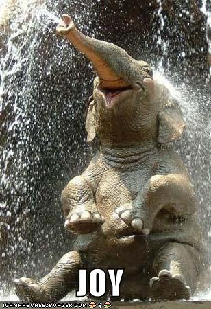 joy-water-elephant.jpg