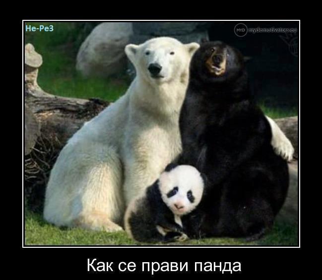 kak_se_pravi_panda.jpg