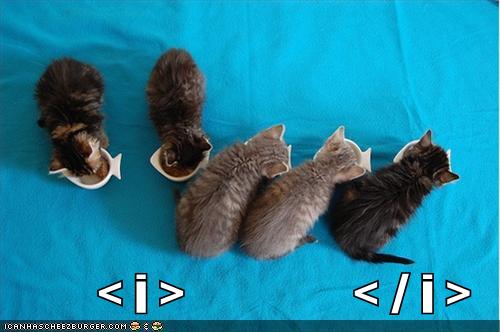 kittens-code.jpg