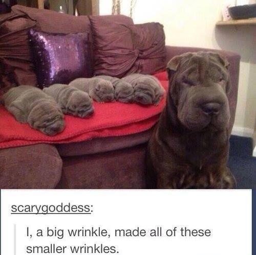 big_wrinkle.jpg