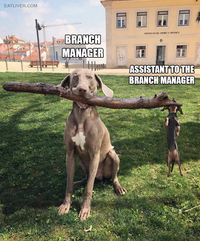 branch-manager.jpg