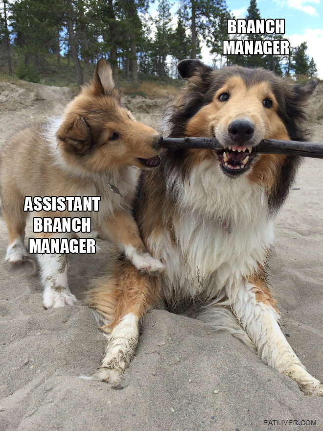branch_managers.jpg