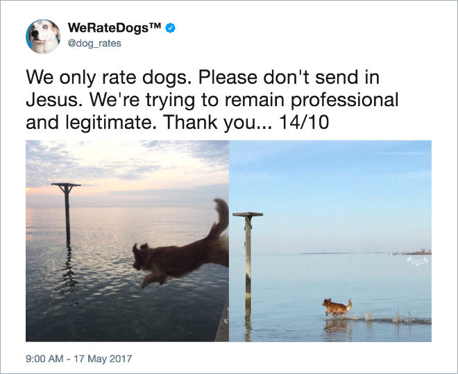 rate_dogs.jpg