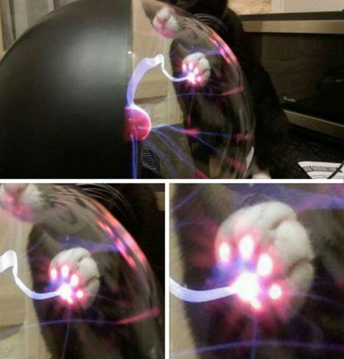 cat_power.jpg