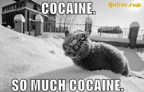 cocaine_so_much_cocaine.jpg