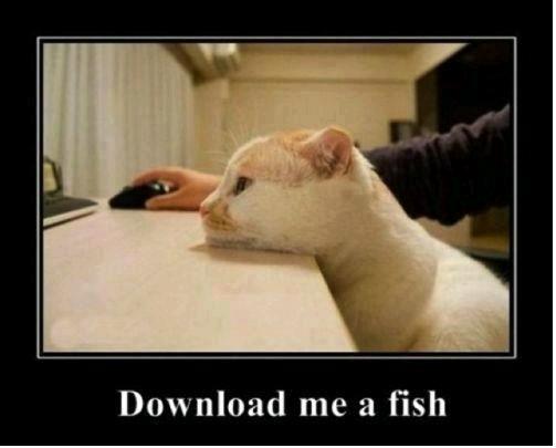 download_me_a_fish.jpg